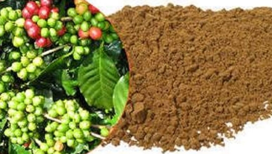 Benefits of Griffonia Simplicifolia Griffonia simplicifolia is a medicinal plant indicated to help treat depression, anxiety, sleeping pro...